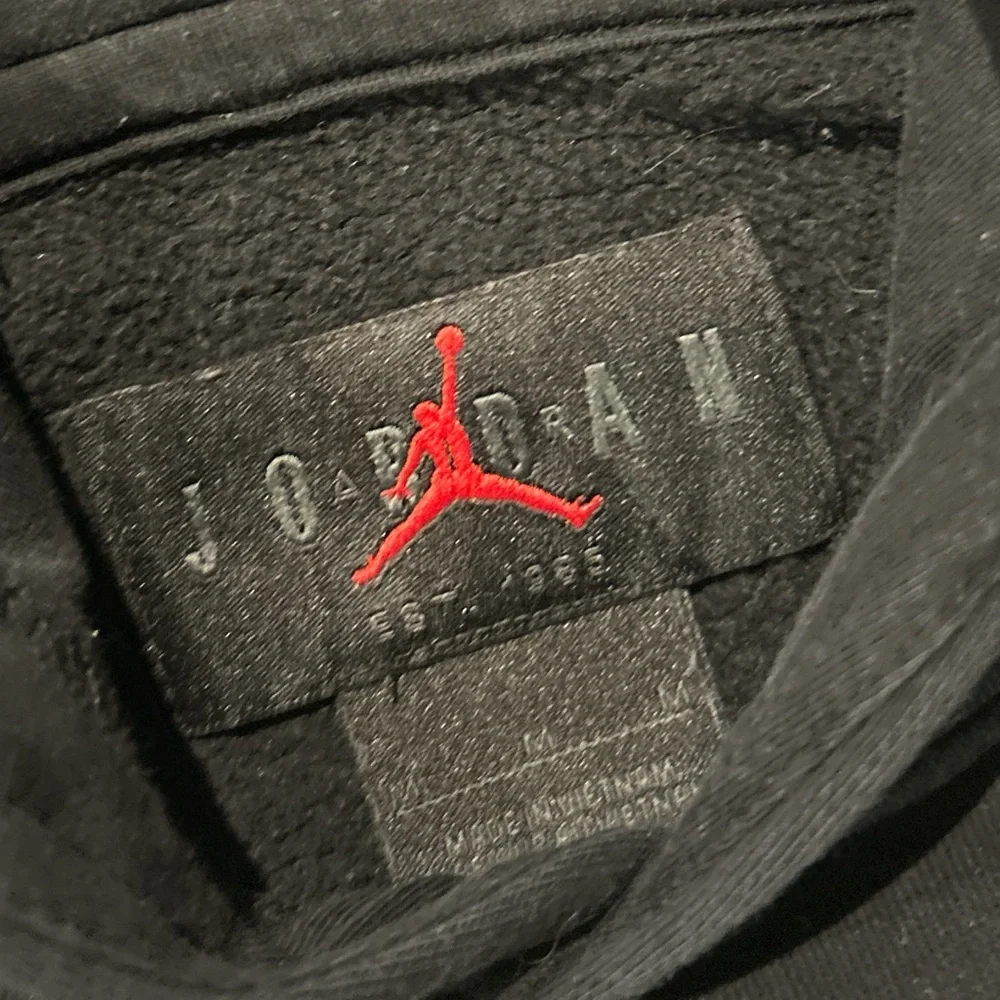 Rare Y2K Nike Air Jordan Flight Workd Tour Hoodie